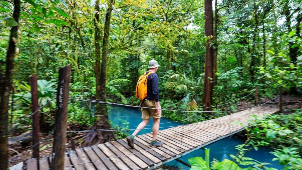 tourist exploring the forests of costa rica